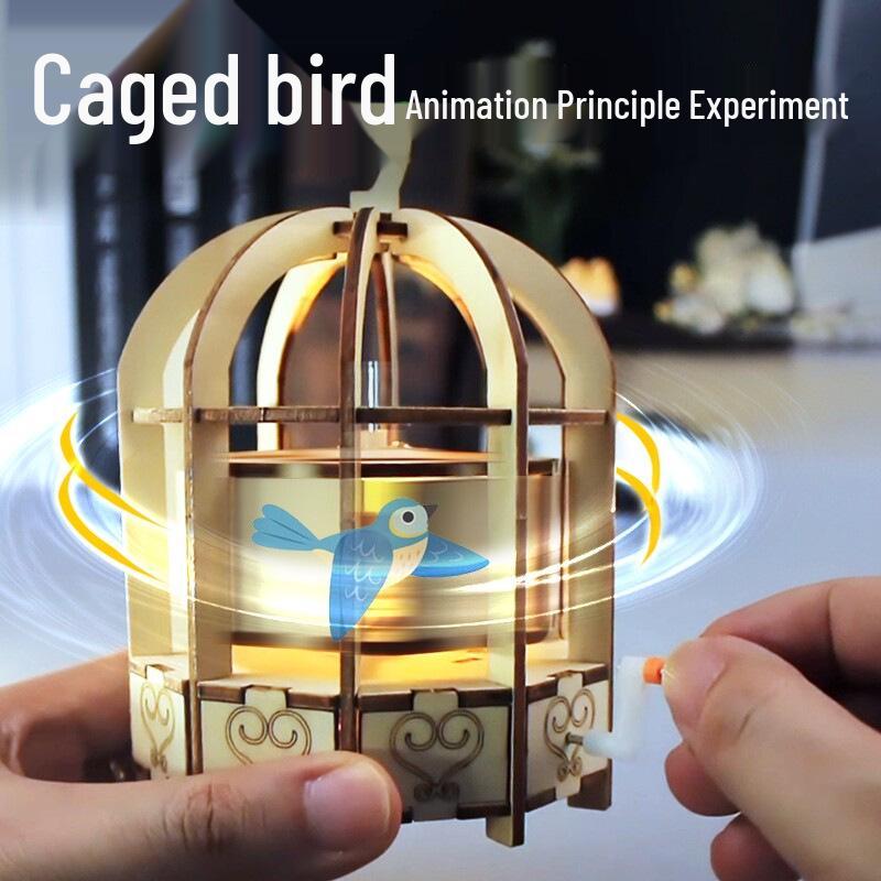 Handmade Bird Cage Vision Science Kit for Students