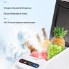 Punengda Portable Car Refrigerator
