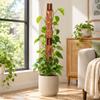 Extendable Plant Support Frame Hollow Out Plant Fixed Frame Plant Stand  Indoor