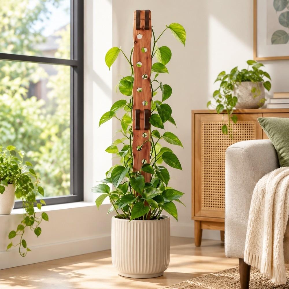 Extendable Plant Support Frame Hollow Out Plant Fixed Frame Plant Stand Indoor