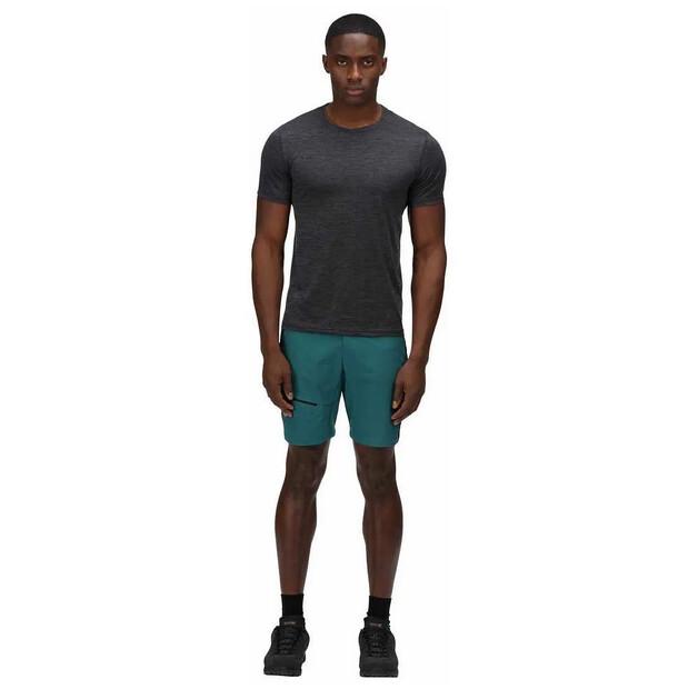 Regatta Highton Pro Shorts