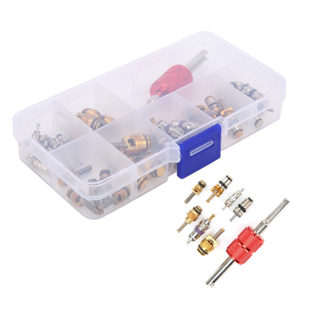 40PCS Car Air Conditioner Valve Core with Remover Tool 5101791AA   5189373AA Replacement for Chrysler