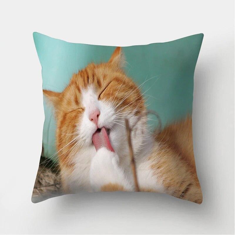 Cute Cat Print Decorative Cushion Pillowcase  Cover Pillow Sofa Living Room