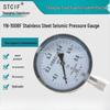 STCIF YN-100BF Industrial Stainless Steel Pressure Gauge (CN Version)