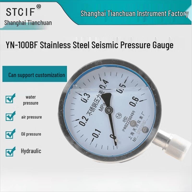 STCIF YN-100BF Industrial Stainless Steel Pressure Gauge (CN Version)