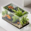Small Aquarium Betta Tank Frameless Extra Clear Bowl For Crab Spider Terrariums Mini Habitat Temporary Space Men Women Nature