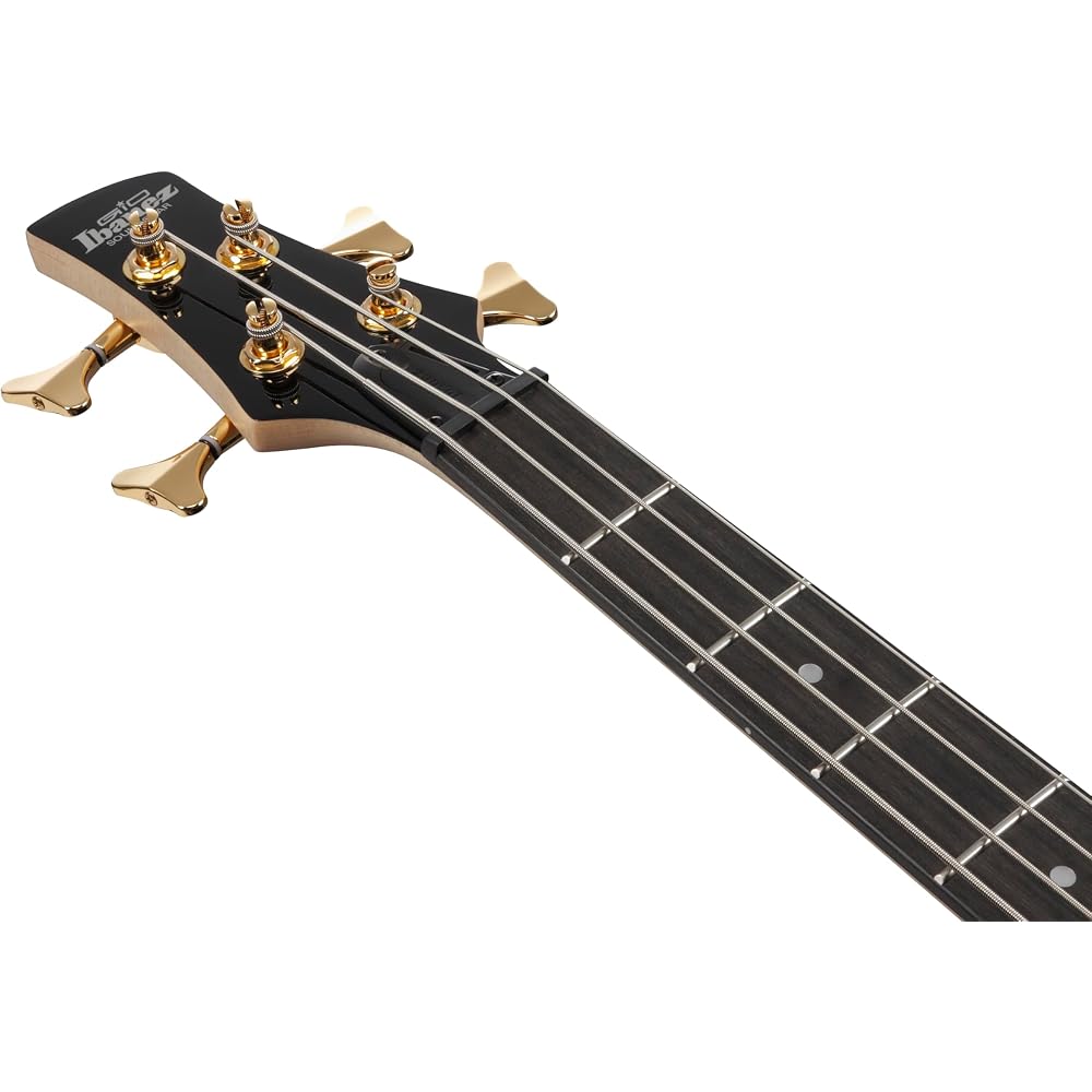 Ibanez GIO Series Electric Bass Transparent Pale Black Burst GSR200PC-TPB