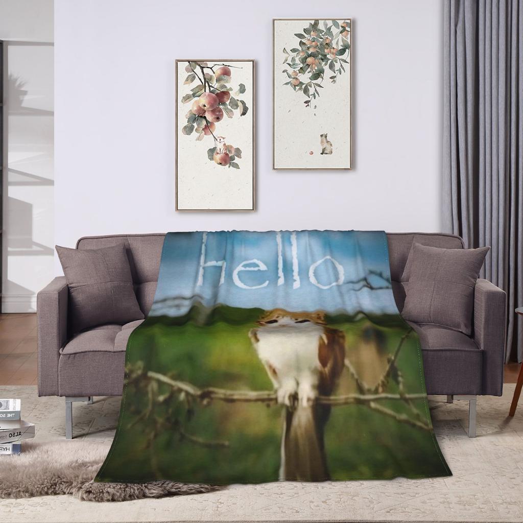 Hello Meowl CatOwl  Blanket Flannel Decoration  Multi-function Ultra-Soft Throw Blankets for Bed Couch Bedding Throws