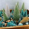 12pcs/bag Mini Christmas Tree Snow Pine Christmas Decorations DIY Snow Decoration Mini Trees