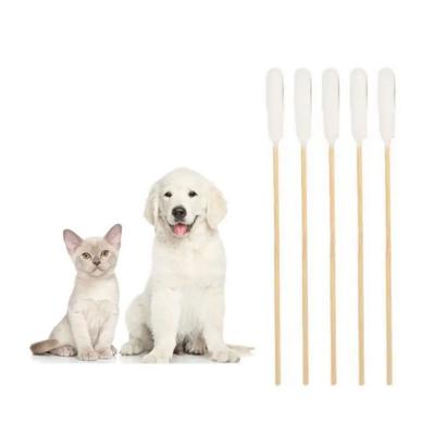 50 Stück 15cm Haustier Wattestäbchen Einweg Schmutzentfernung Wattestäbchen Hund Wattestäbchen Einzelkopf Haustier Ohrenreinigung Wattebausch Pflege