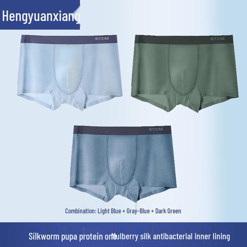 Hengyuanxiang Men's Plus Size Ice Silk Antibacterial Boxer Briefs (3-Pack)