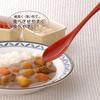 Endo Sansho Mouth-Friendly Soft Spoons (Set of 5)