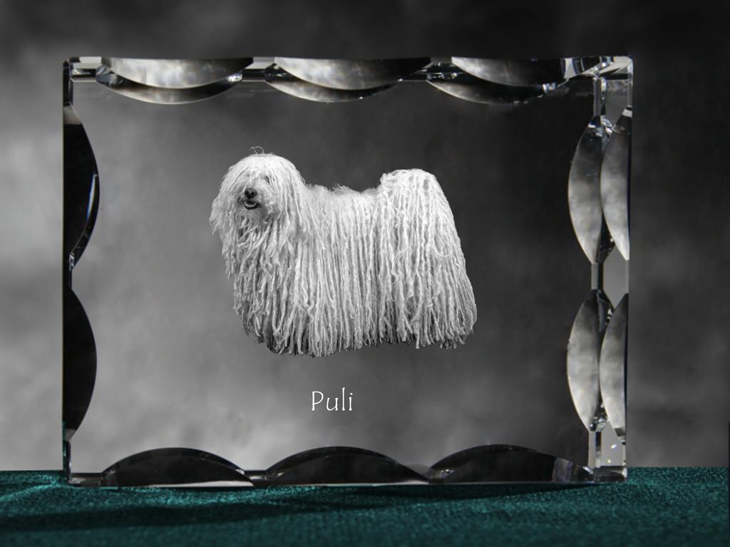 Puli, Hungarian Water Dog – Crystal with a picture of a dog, glass statuette with a picture | Art-Dog