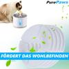 PurePaws Cat Fountain Filter Set Drinking Fountain Water Dispenser Replacement Filter 6pcs