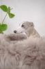 Oval Natural Sheepskin Pet Bed - Greige 120 Cm