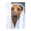 Cute Shower Dog Bathroom Decor Poster Dog in Bathtub Print Animal Murals Canvas  for Home Decor Dog Lover Gifts