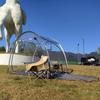 Bubble Tent - Transparent Igloo Tent - 2-3 Person Screen House for Patios - Large Oversize Weather Proof Pod - Cold Protection