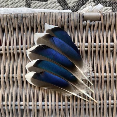 50/100 STÜCKE Wildentenfedern zum Basteln Natürliche Fasanenfeder Herstellung DIY Handwerkszubehör Hochzeitsfeier Schmuck Geschenk Dekor