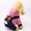 Hund Warme Kleidung Herbst Winter Mode Niedlich Bestickter Bär Streifen 4 Beinig Warm Winddicht Haustiermantel für Täglich Draußen