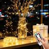 Warm White Starlight Strands Copper Wire Fairy Lights with Remote, 8 Modes 10-Level Dimming Timer, Waterproof Halloween Christmas Tree Decorations