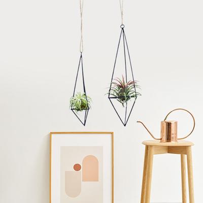 1 Set Air Plant Holder Geometric Shape Aesthetic Structure 3D Visual Effect Easy To Install Widely Used Iron Unique