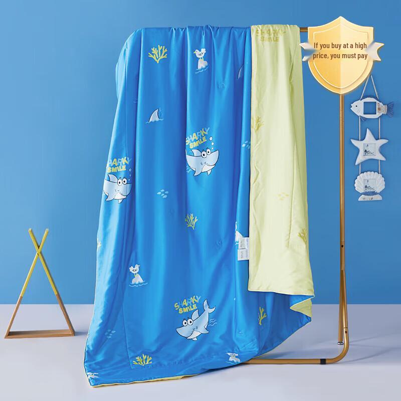 

MERCURY Class A Children s 100% Tussah Silk Summer Duvet