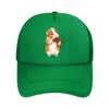 Cute Guinea Pig Playing Violin Illus Mesh Baseball Cap For Womens Unisex FeUnisex Beach Dad Hat Hip Hop