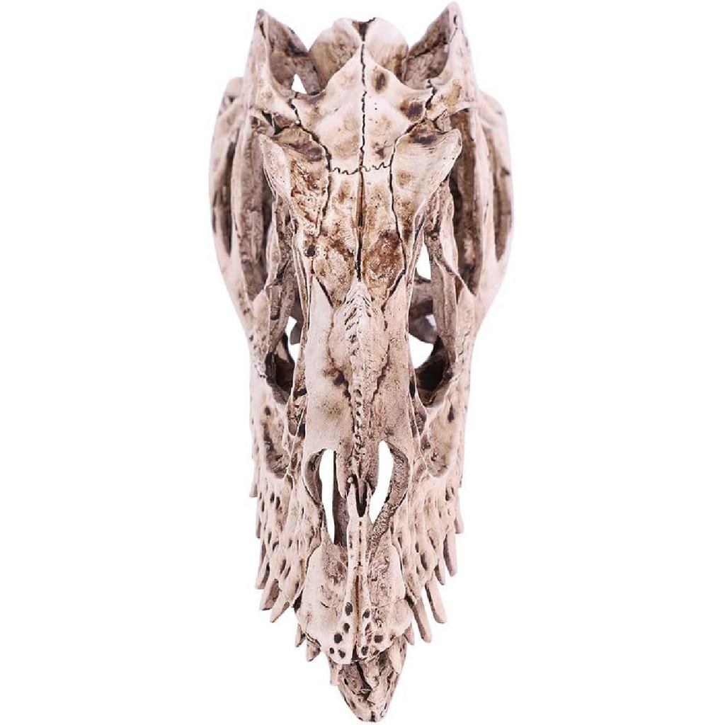GOTOTOP Dinosaur Skull Model, Dinosaur Skull Model Simulated Animal Skeleton Lifelike Teaching Skeleton Model for Home Office Aquarium Bar Party