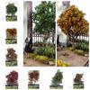 Landscape Platform Material Environmental Plants Tree Model Building Sand Table Model Simulation Tree Material Science
