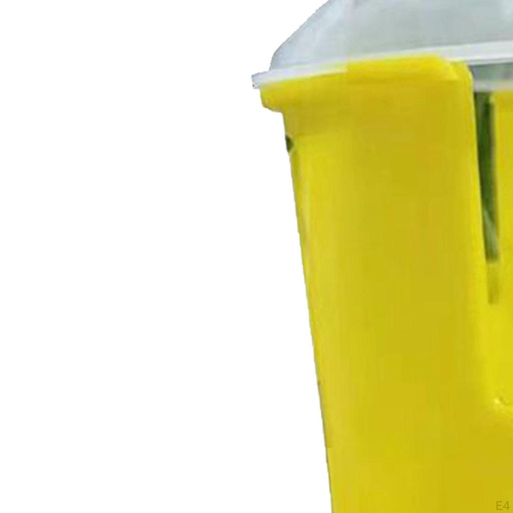 Germination Tray Grower Container Peanut Box for
