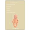 12in Realistic Doll Baby Doll EyeOpen Life Like Reborns that Looks Real