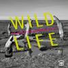 Wild Life by James McDermott Paperback Book 9781913437701
