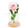 LED light single rose glass cover ornament Valentine's Day birthday gift for lover eternal flower