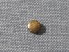 Part C Unbranded Gold Crown for Crystal Seven 766