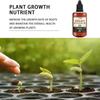 1/2/3/4/5Pcs Fertilizer for Plants Seedling Activator Boost Plant Growth Trees Rooting Powder for Cuttings Hormone Growing Root