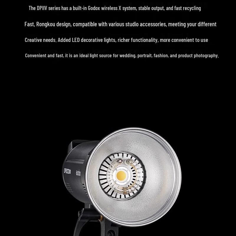 Godox DPIIIV-600W Studio Flash Kit