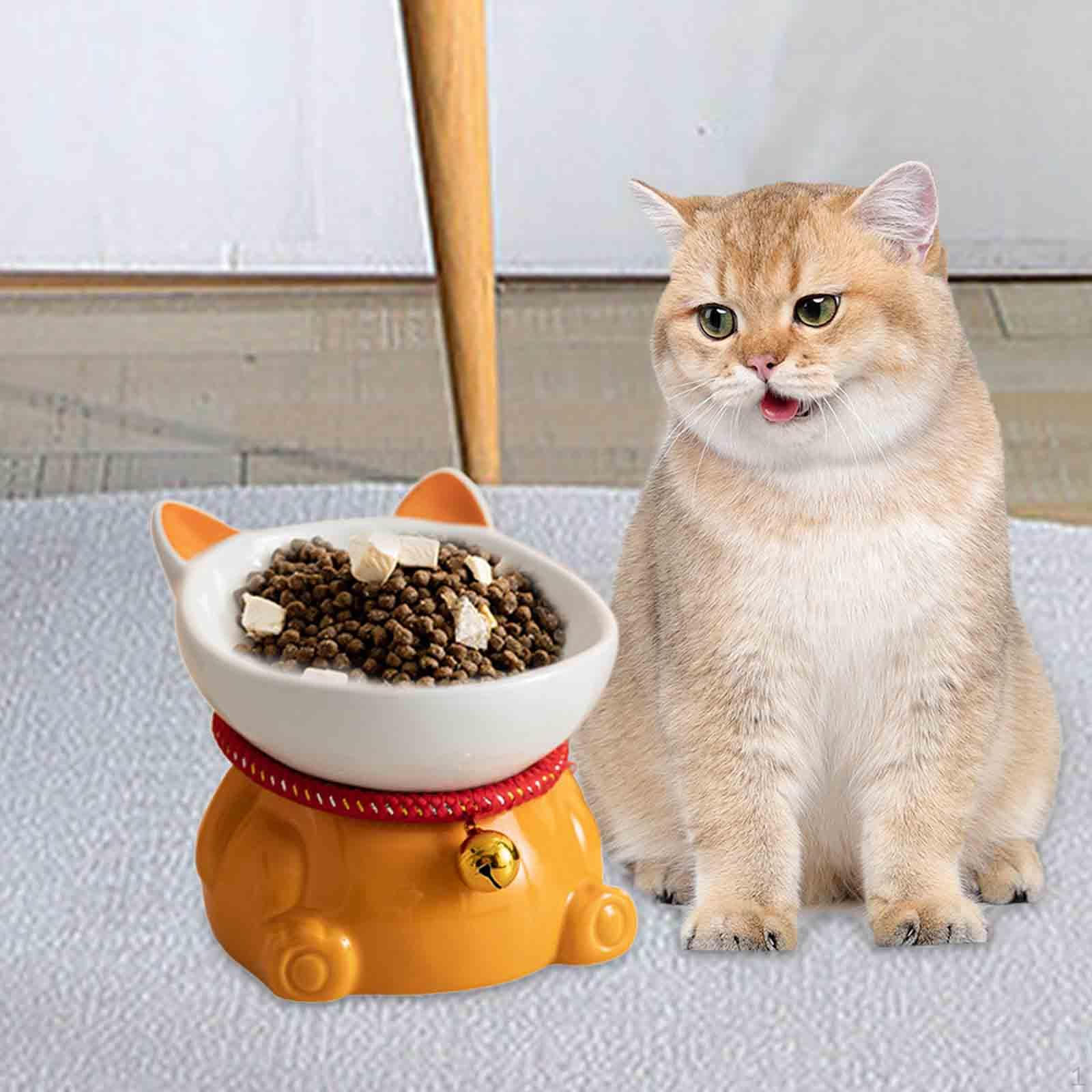 

Очаровательная миска для кошек, трио для общественных мероприятий оранжевый