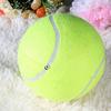 Hot Sale Yellow Tennis Balls Sports Tournament Outdoor Fun Cricket Beach Dog Ideal for Beach Cricket Tennis Practice or Beach
