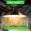 Outdoor solar pendant light, waterproof LED light, double headed candle holder, indoor greenhouse remote control decoration, granary room