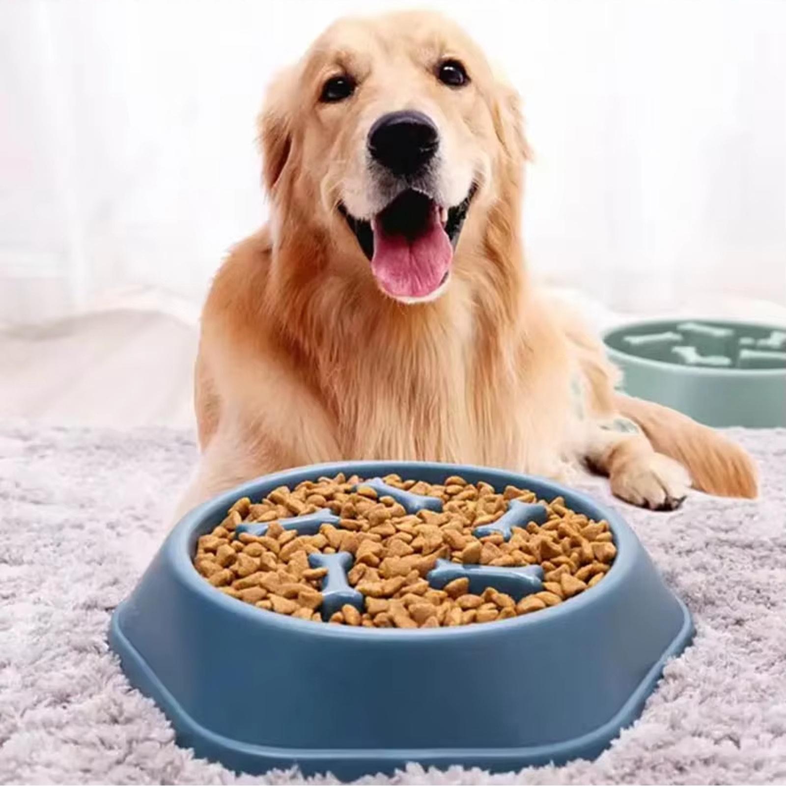 

Slow Feeder Dog Food Bowl – Bowl Designed to Slow Eating, Promotes Healthy Digestion and Bloat one size синій