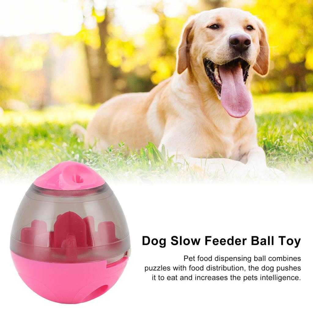 Pet Food Dispensing   Interactive Memory Training Dog Slow Feeder Puzzle Toy for Puppy Cat