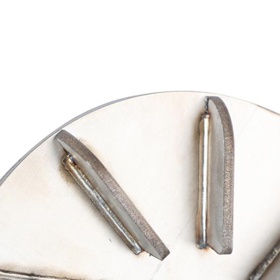 Farm Animal Hair Scrapers Stainless Steel Hair Remover Disc Pigs Cattle Sheep Horses Hair Removing Tool