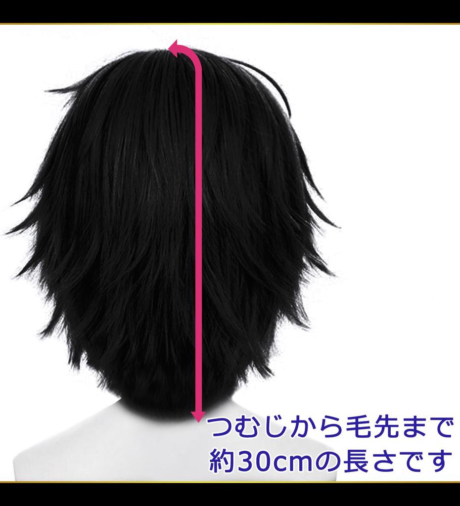 CaseEden Cosplay Wig, Short, 30cm, Heat-Resistant, Black, WIG6200