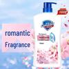 Safeguard Romantisches Kirschblüten Duschgel 1kg