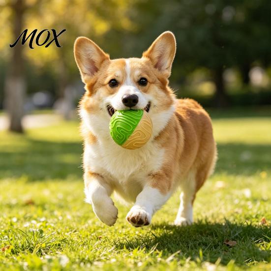 Interactive Squeaky Balls for Dogs Ball Dog Chew Toy, Indestructible Textured Teeth Fetch Toys Pets Cleaning Aggressive Chewers TPR Rubber Pet