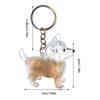 dog and cat hair collector ornament dog hair collection keychain pet hair keepsake bottle creative gift for dog lovers