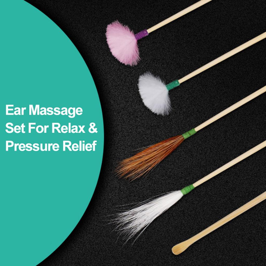 10pcs Ear Picking Tool Set Goose Feather Stick EarPicking Massage Ear Canal Cleaning EarPicking Tool Ear Picking Spoon EarCare