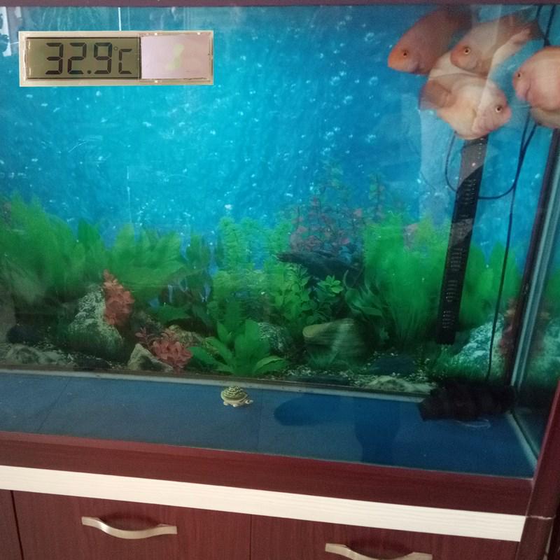 High-Precision Transparent Stick-On LCD Aquarium Thermometer