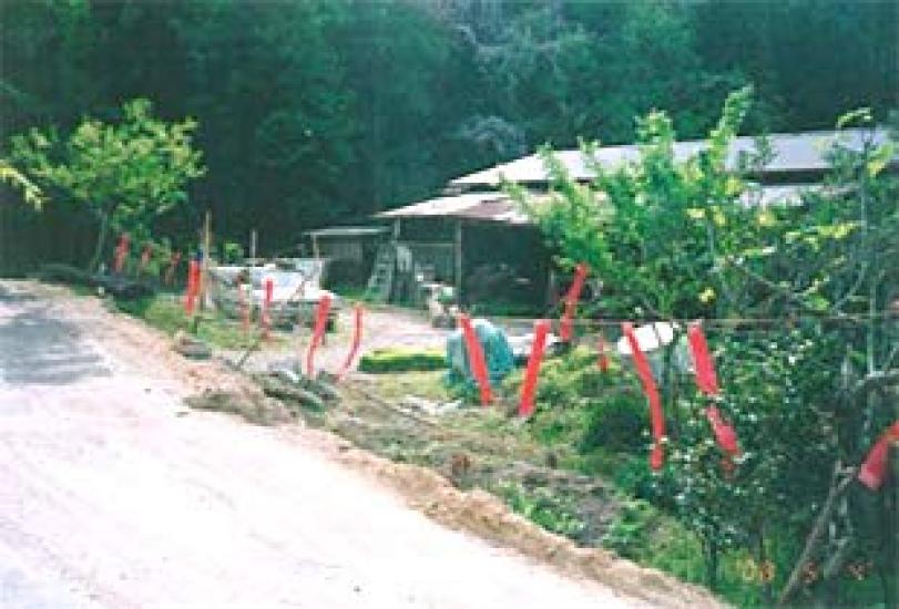 Why Do Deer Run Set of 6 Deer Repellents for and Ezo Deer Bird and Animal Pest Deer Deer Pest Control Away? Deer, Serow, - Control, Repellent,