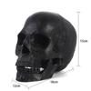 Halloween Decorations Halloween Skeleton Model Halloween Skeleton Head Human Skull Model Skeleton Collectible Figurines Human Skull Head1pcsblack
